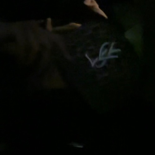 MARC7S X FETCHYX - NOBODY PROD 406AHMAD DEADBOYBRIO.mp3