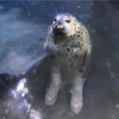 얘야지금무슨말을하는거니