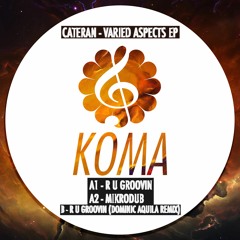 Cateran - R U Groovin (Dominic Aquila Remix)