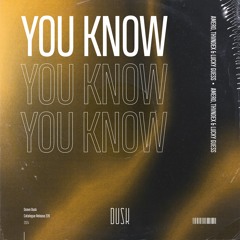 Amero, Thvndex & Lucky Guess - You Know
