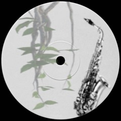 SAX BREAKS