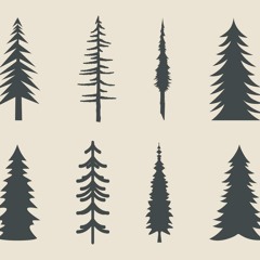 Sparta Spruce Mix V2 Scrapped(?)