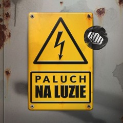 Paluch - Na Luzie (ft. Dj Taek)