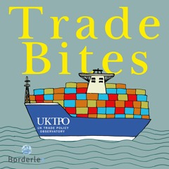 The future of the UK-EU trading relationship