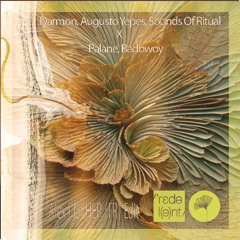 Darmon, Augusto Yepes, Sounds Of Rituals X Palane, Badbwoy - Seva X Danze Sur ( Alex FISCHER (FR) Edit)