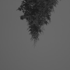 slackadelicautomatahollaatyaisticfunk(asongcalleddave)