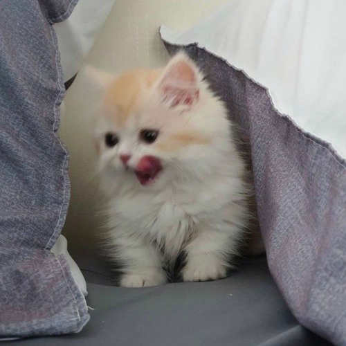 i'm in love with someone, who's in love with someone