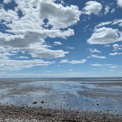 Wading in Waist-High Water (Fleet Foxes Cover)