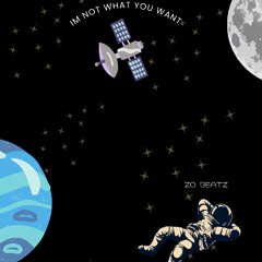 Im Not What You Want