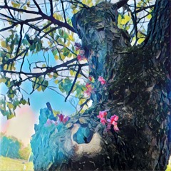 Schoolhouse Rock, “Unpack Your Adjectives” (feat. Dave Cater)