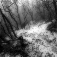 seasons (makkgin jggnmx)