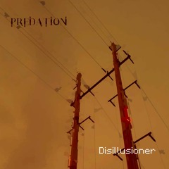 Predation - Connections Decaying