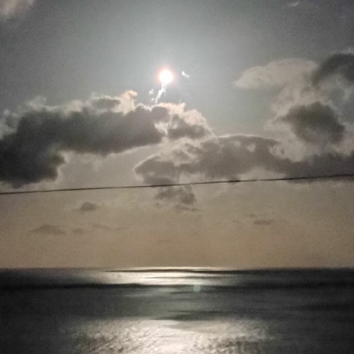 Flowermoon