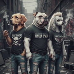 RIPPED JEAN DOGS
