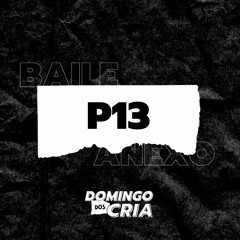 P13 | DOMINGO DOS CRIA - BAILE DO ANEXO (18/04/2021)