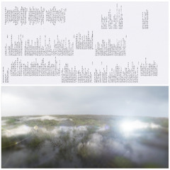 PREMIERE : Promise - higher ground