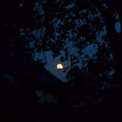 fullmoon lullaby (daycomet flip)