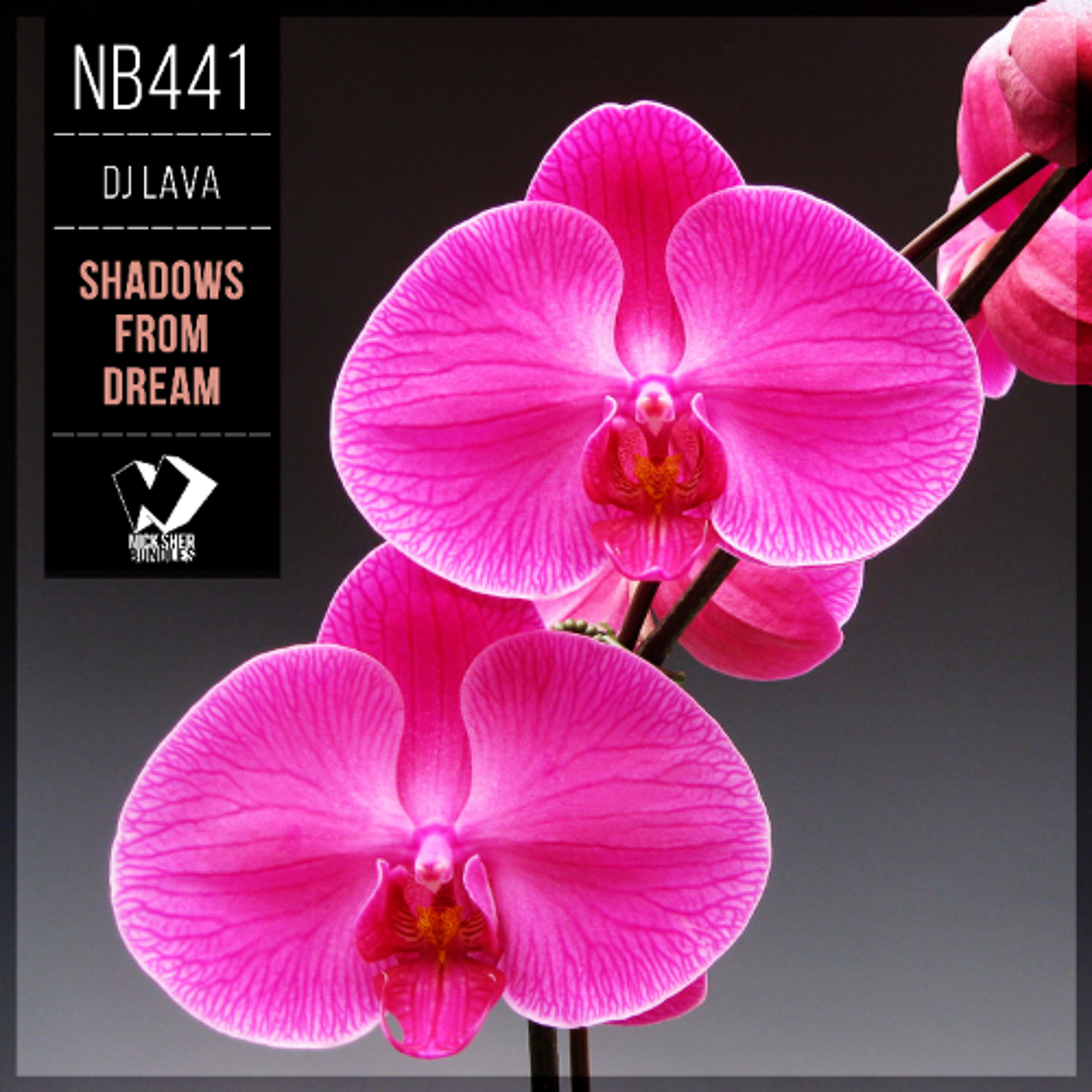 DJ Lava - Shadows from Dream (Original Mix) episode artwork