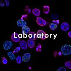 Laboratory