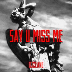 Say U Miss Me