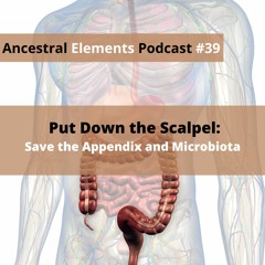 Put Down the Scalpel: Save the Appendix and Microbiota Ep.39