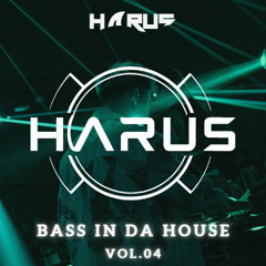 BASS IN DA HOUSE - [VOL.4] - DJ HARUS
