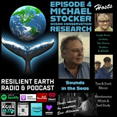 Sound in our Seas - What is the impact to marine life?