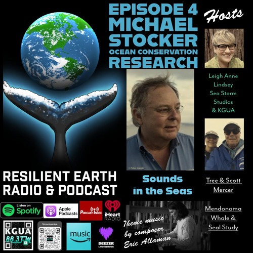 Sound in our Seas - What is the impact to marine life?