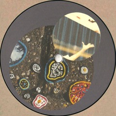 Ruton - Coconuts Falling (CON001)
