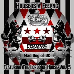 House is a Feeling! Featuring the Lords of House Vol. 5