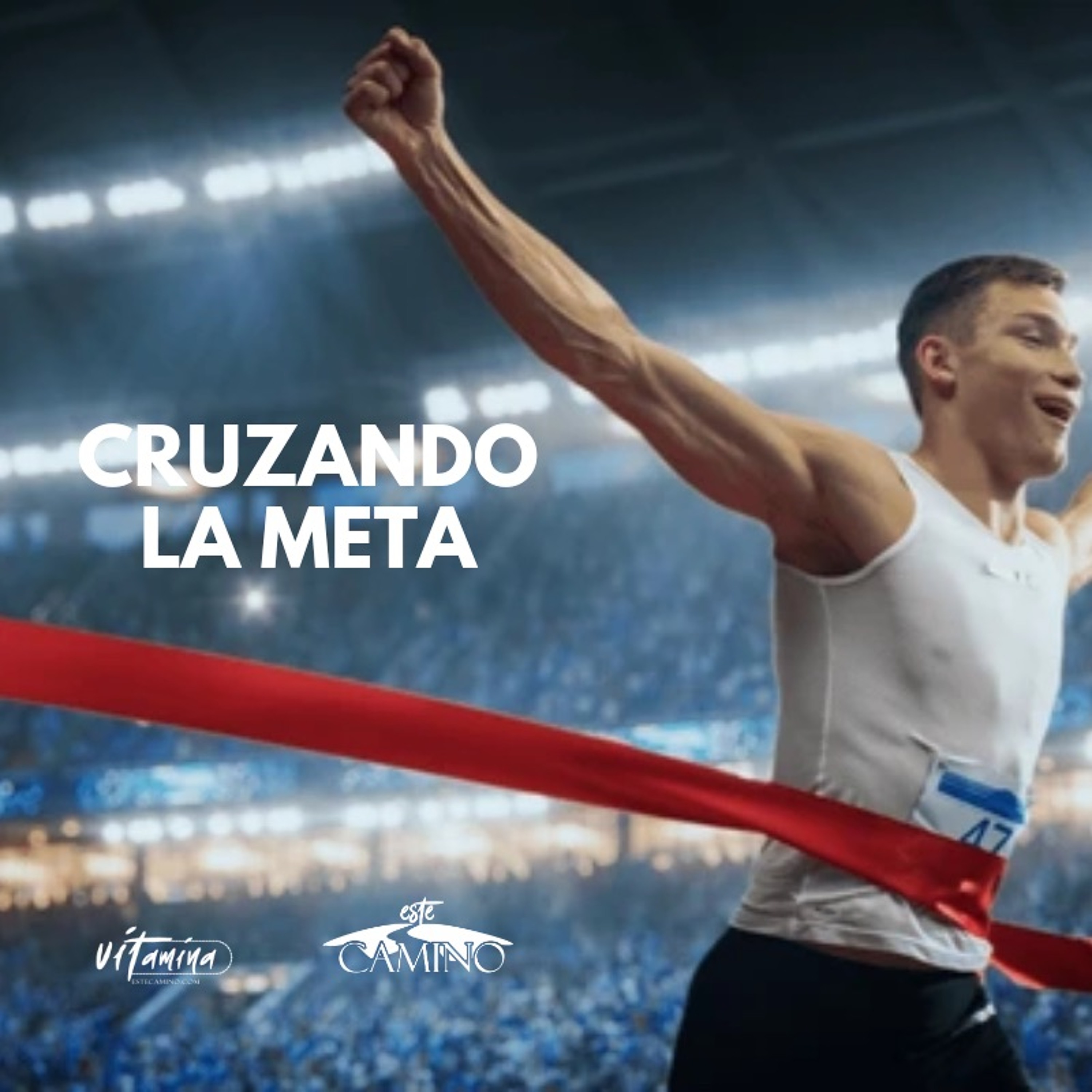 Cruzando la meta, Bruno episode artwork