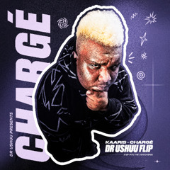 Kaaris-Chargé (Ushuuflip)