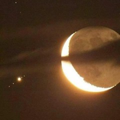 🧠 Cerveau pas en éruption 🧠 - 2