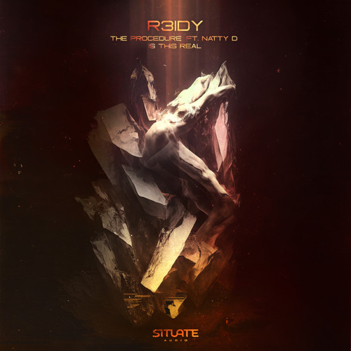 The Procedure (feat. Natty D)