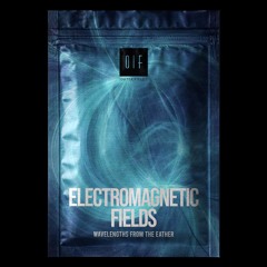 Elecromagnetic Fields Demo V1