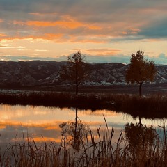 A Reflection (Voice Guidance)