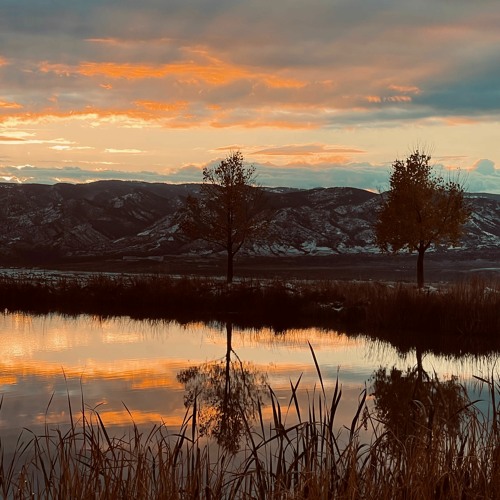 A Reflection (Voice Guidance)