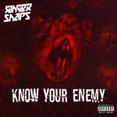 Know Your Enemy (fkng Ktsp Version)