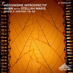 Hédonisme Introspectif - AH&N invite Stellah Maris (Janvier 2023)