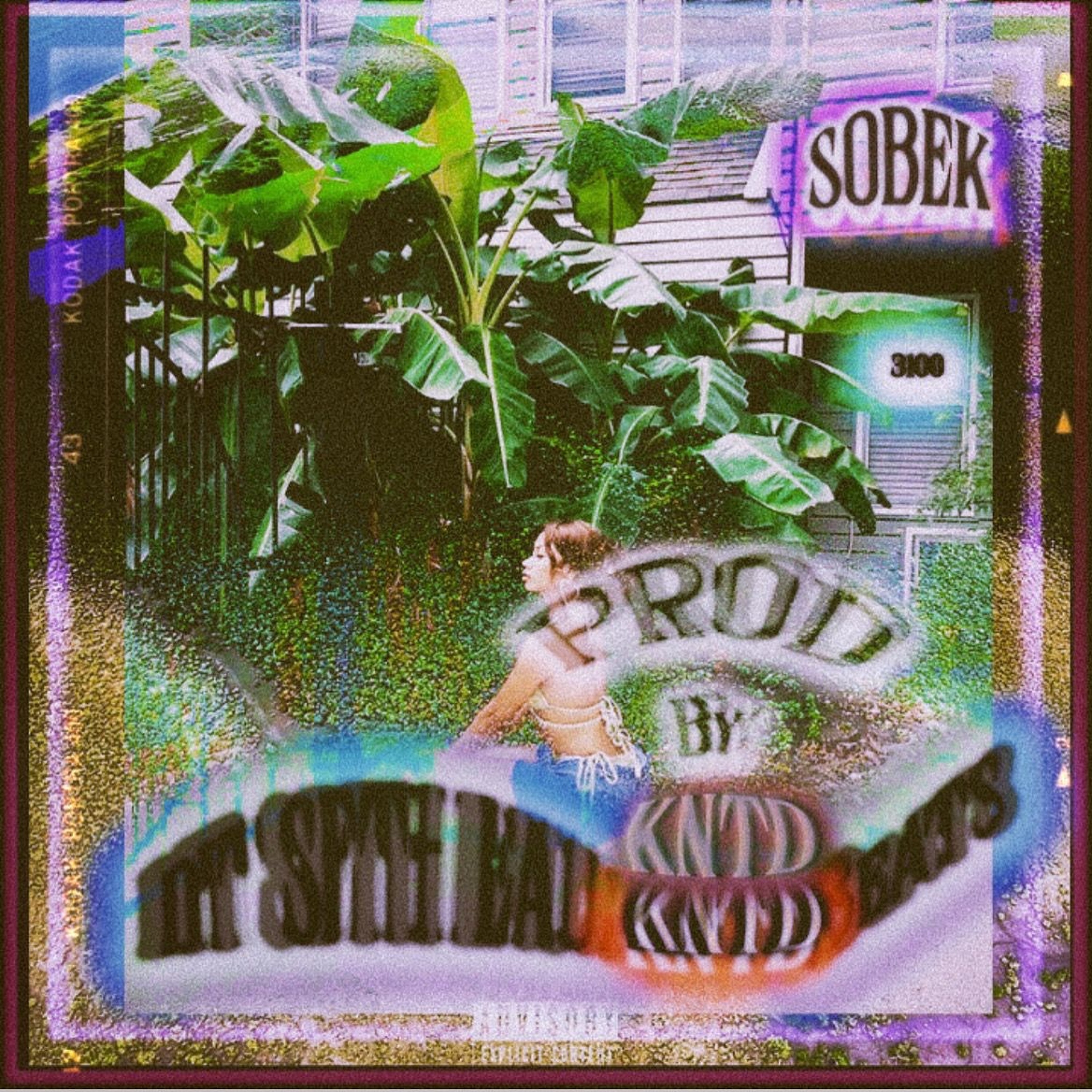 DIT CETTE EAU - SOBEK episode artwork