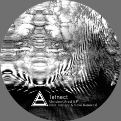 Tefnect - Unidentified EP (Incl. Daliepy & Roku Remixes) [AR015]