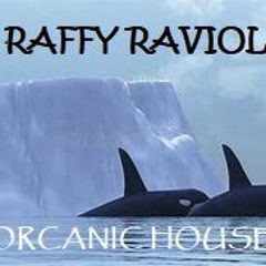 RAFFY RAVIOLI - ORCANIC DANCE 2024.