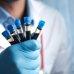 How to become a transfusion medicine doctor