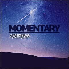 ZachPayne - Momentary