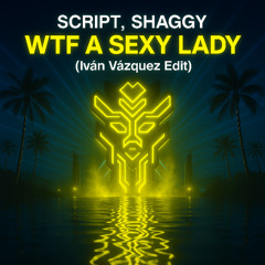 Wtf A Sexy Lady (Ivan Vazquez Edit) Filtered Copyright