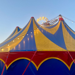 bubamara @ RAL6004 Openair