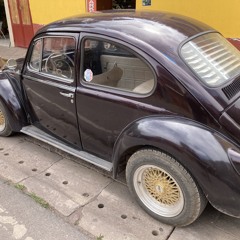 Peruvian