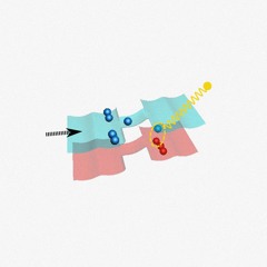 Flutter2