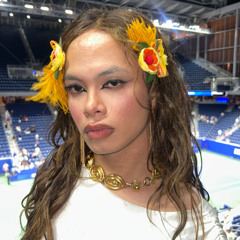 fate / the great deceiver