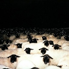 အဝါရောင် သိုးမည်းများ (Feat. Aww Gyi, Ray D, Lyxes)